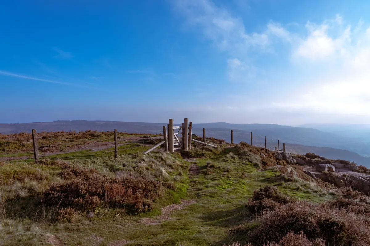 Heather Moorland Through the Year: A Seasonal Wildlife Calendar