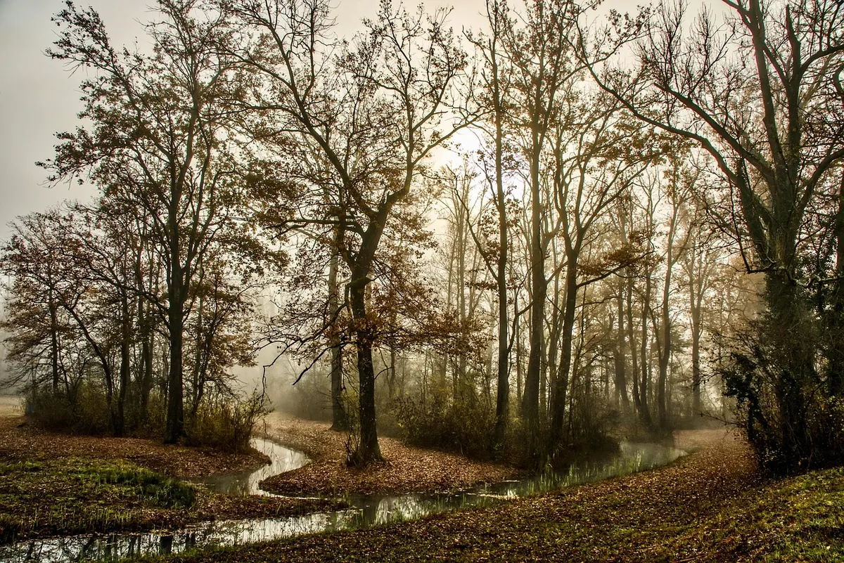 How to Photograph Moorland in Fog and Low Light